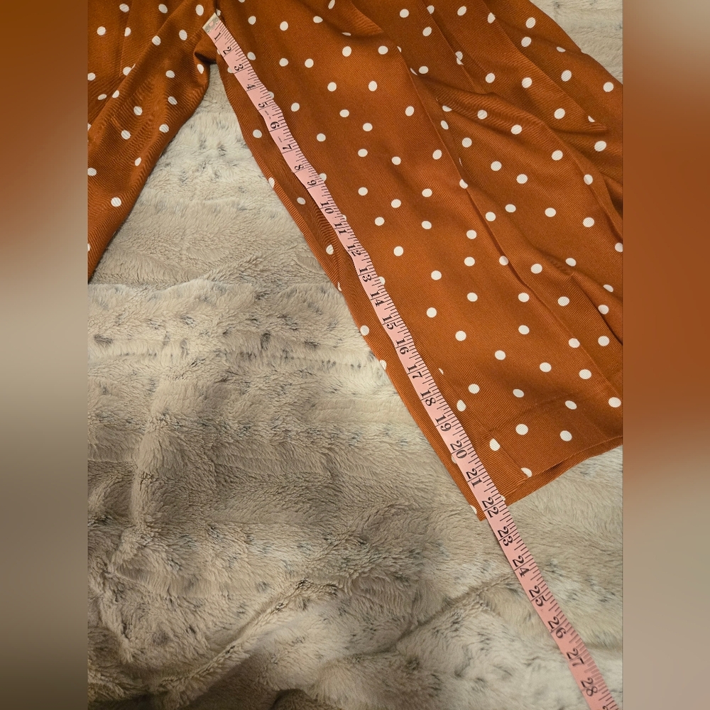 Anthropologie - Maeve Isobel Wide Leg Pleated Apollo Dot Pants - Rust/Brown - Picture 7 of 11